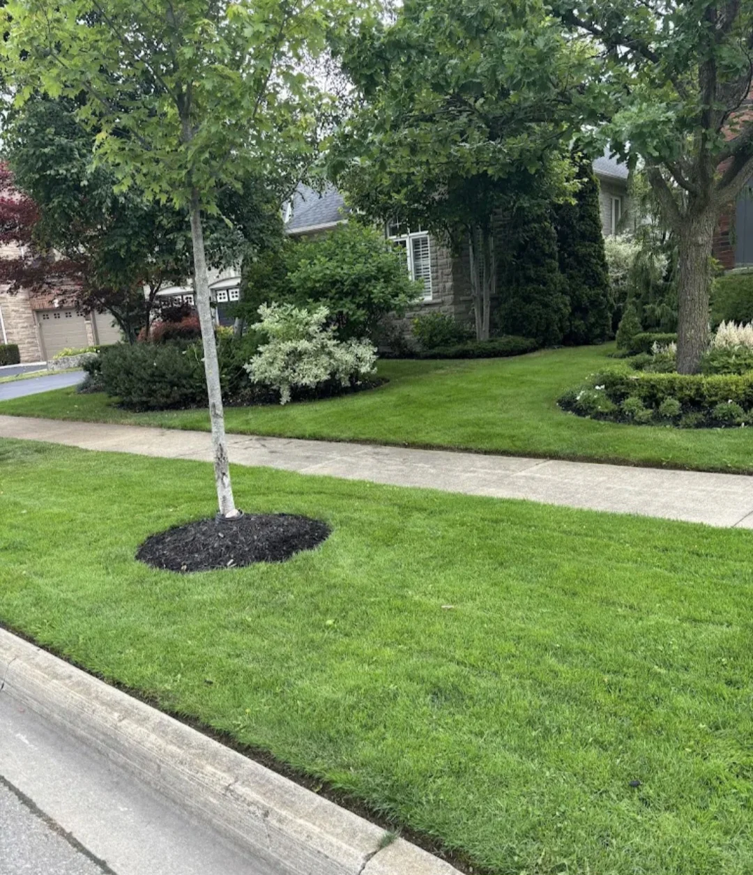 lawn maintenance